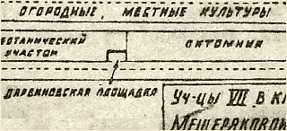 План школы